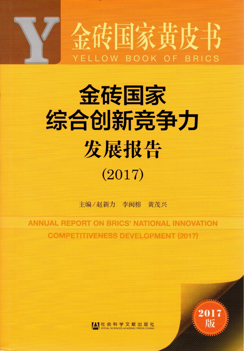 少萝内衣自慰金砖国家综合创新竞争力发展报告（2017）